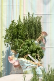 Arrangement